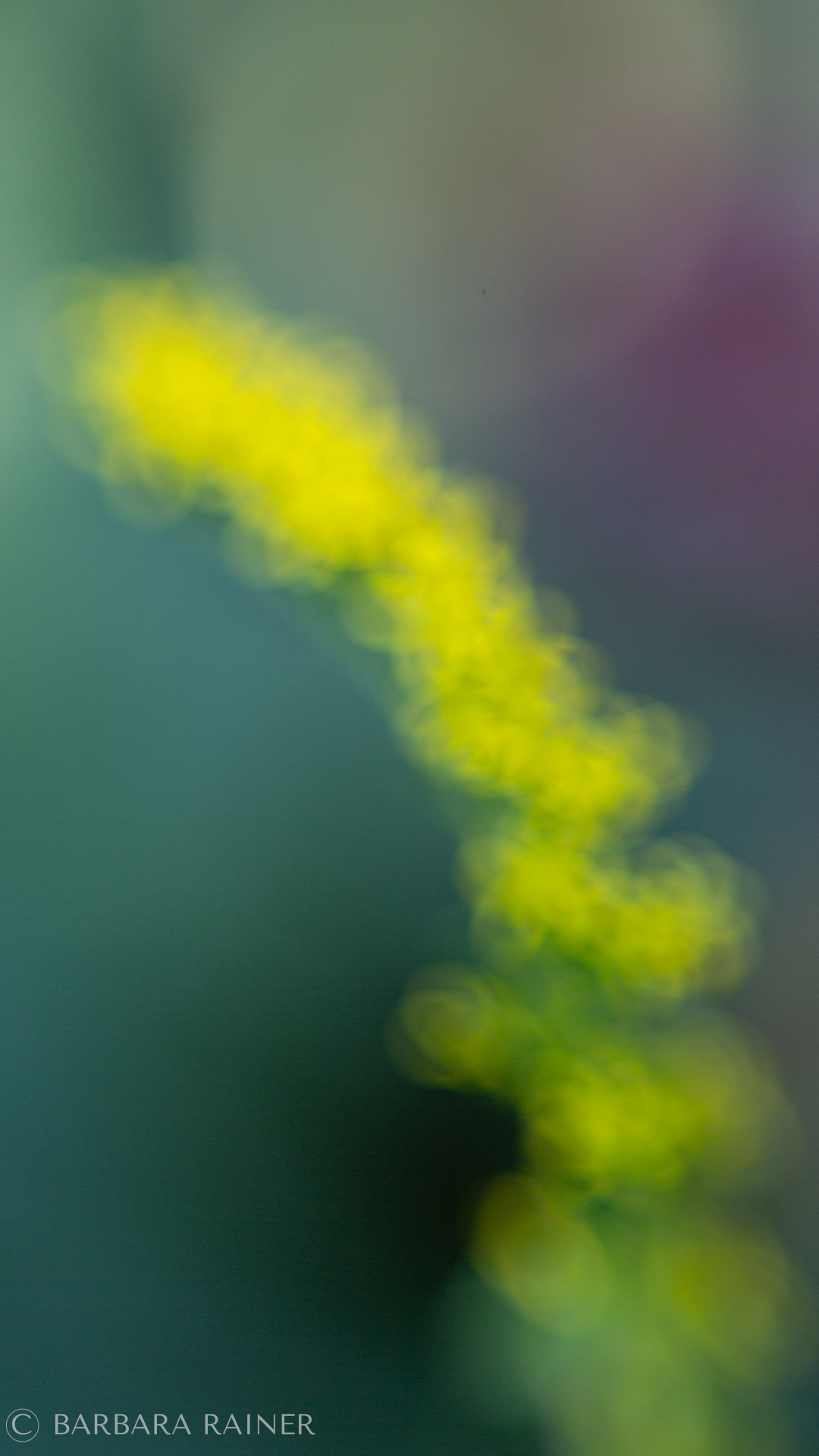 Lichtspur