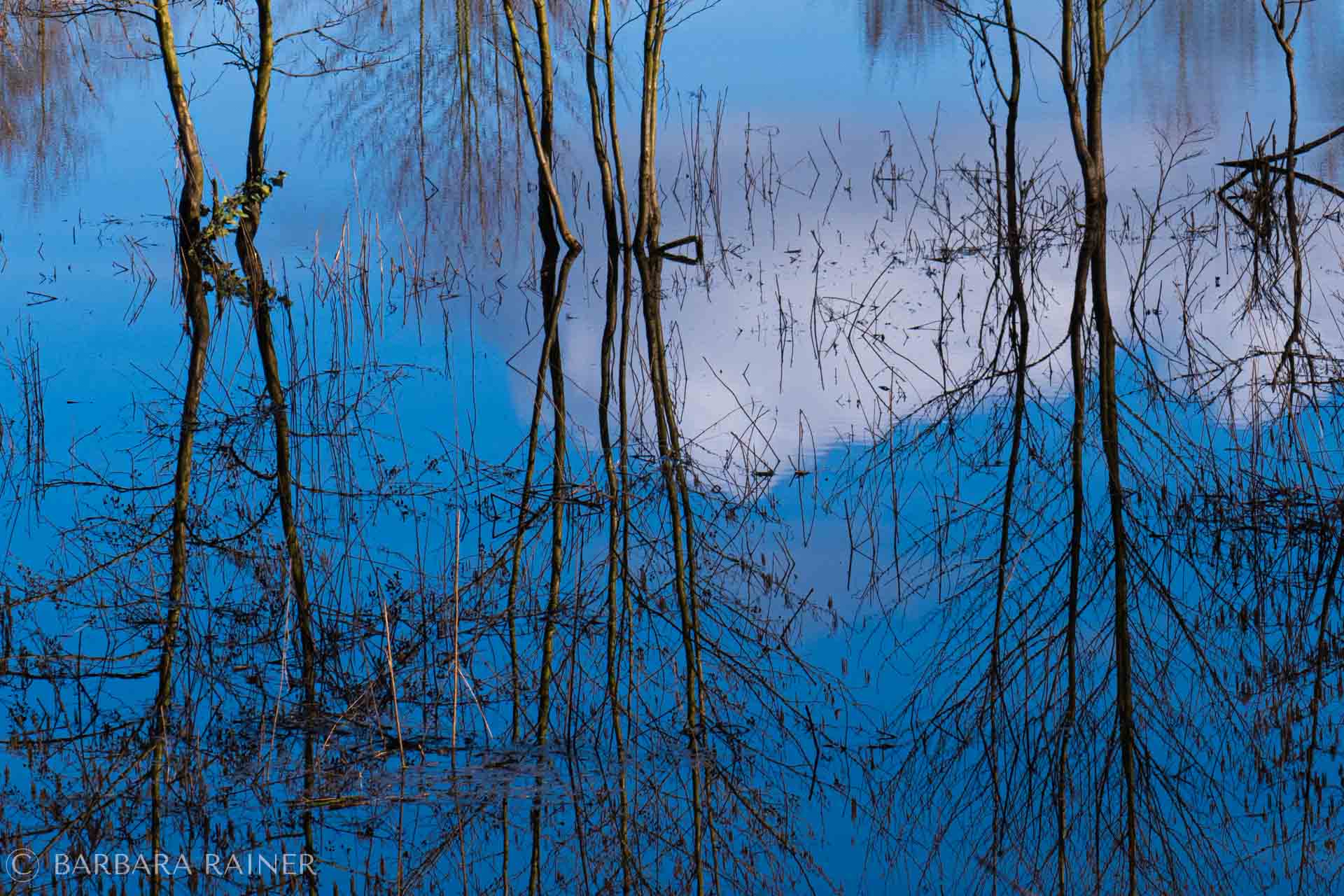 Im Zentrum des inneren Gartens liegt eine Quelle, aus der wir schöpfen können. Fotografie: Barbara Rainer.