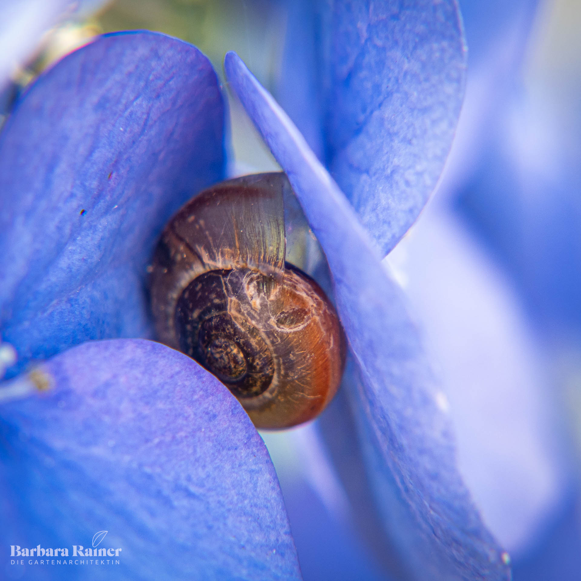 Spirale in Blau