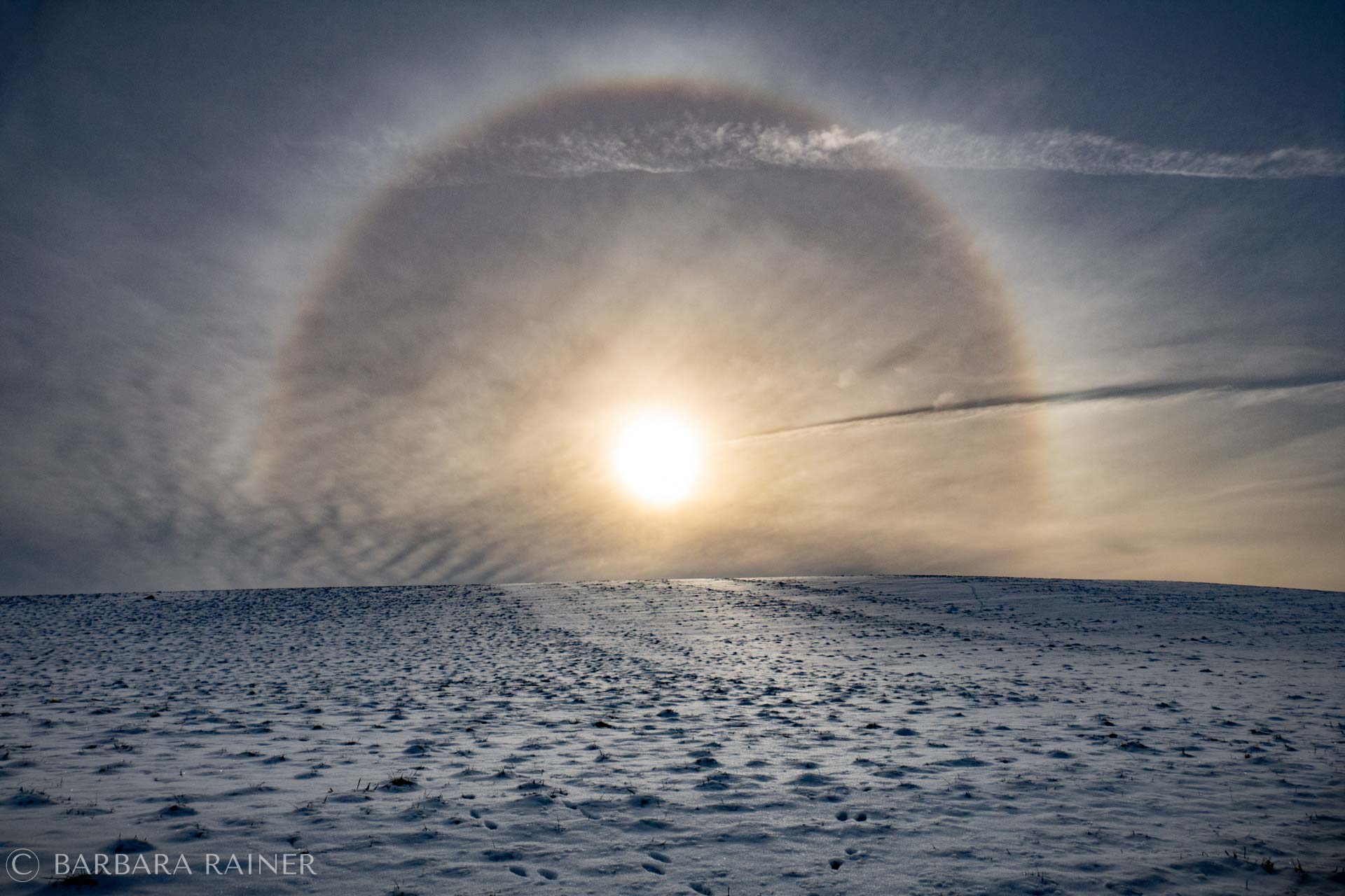 Halo