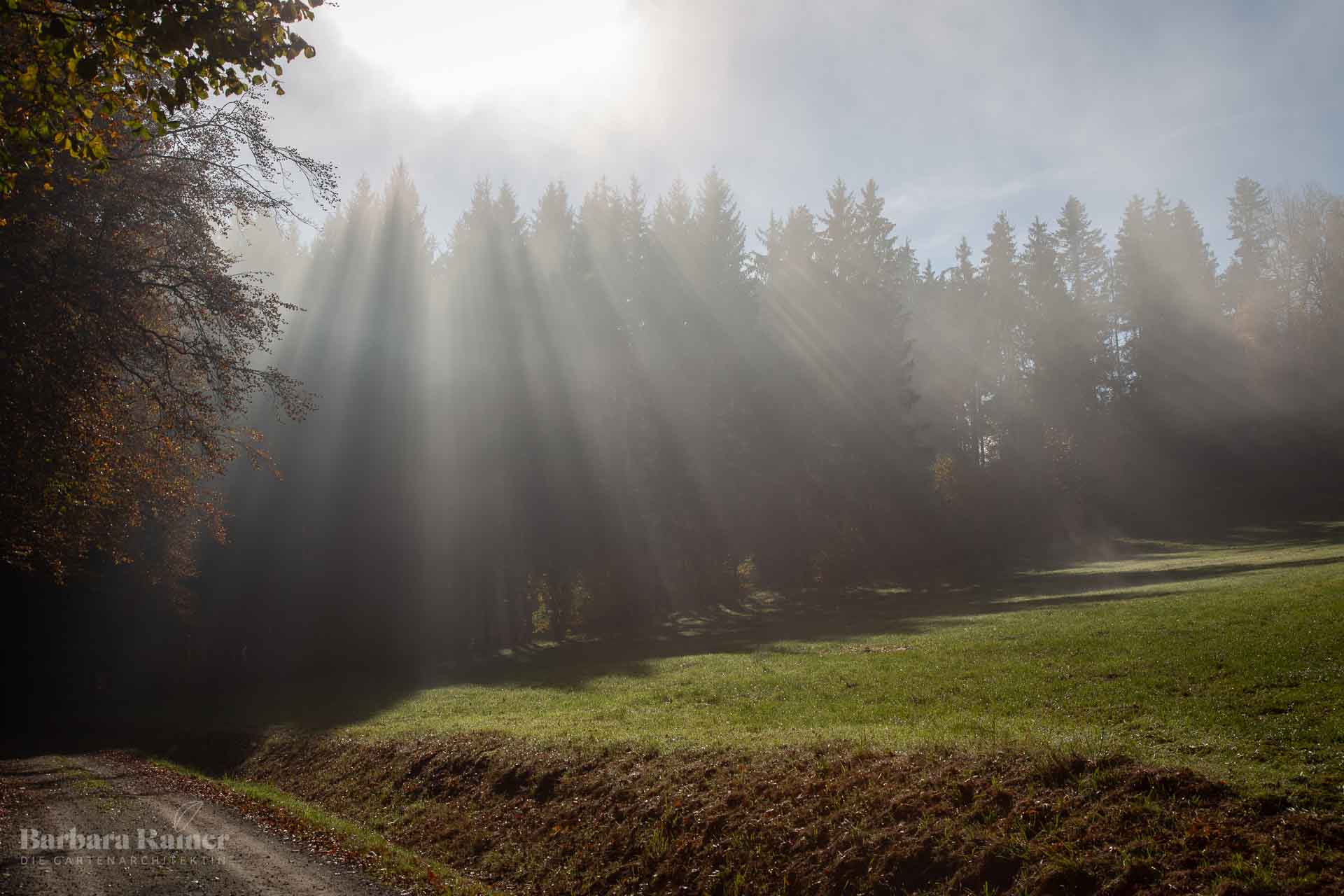 Strahlenlicht