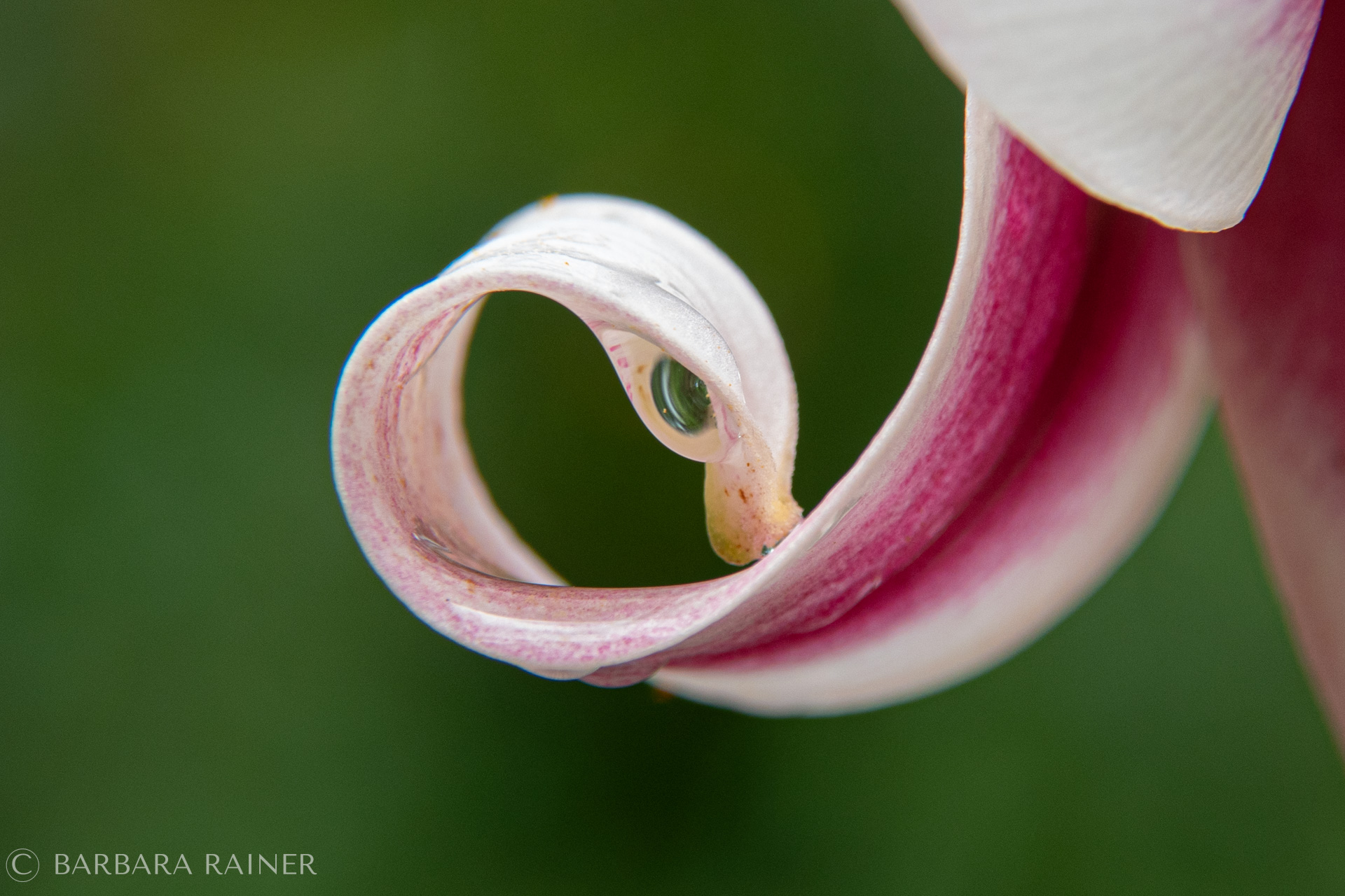 Eingerollter Raum
