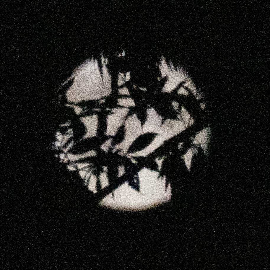 Mondschatten