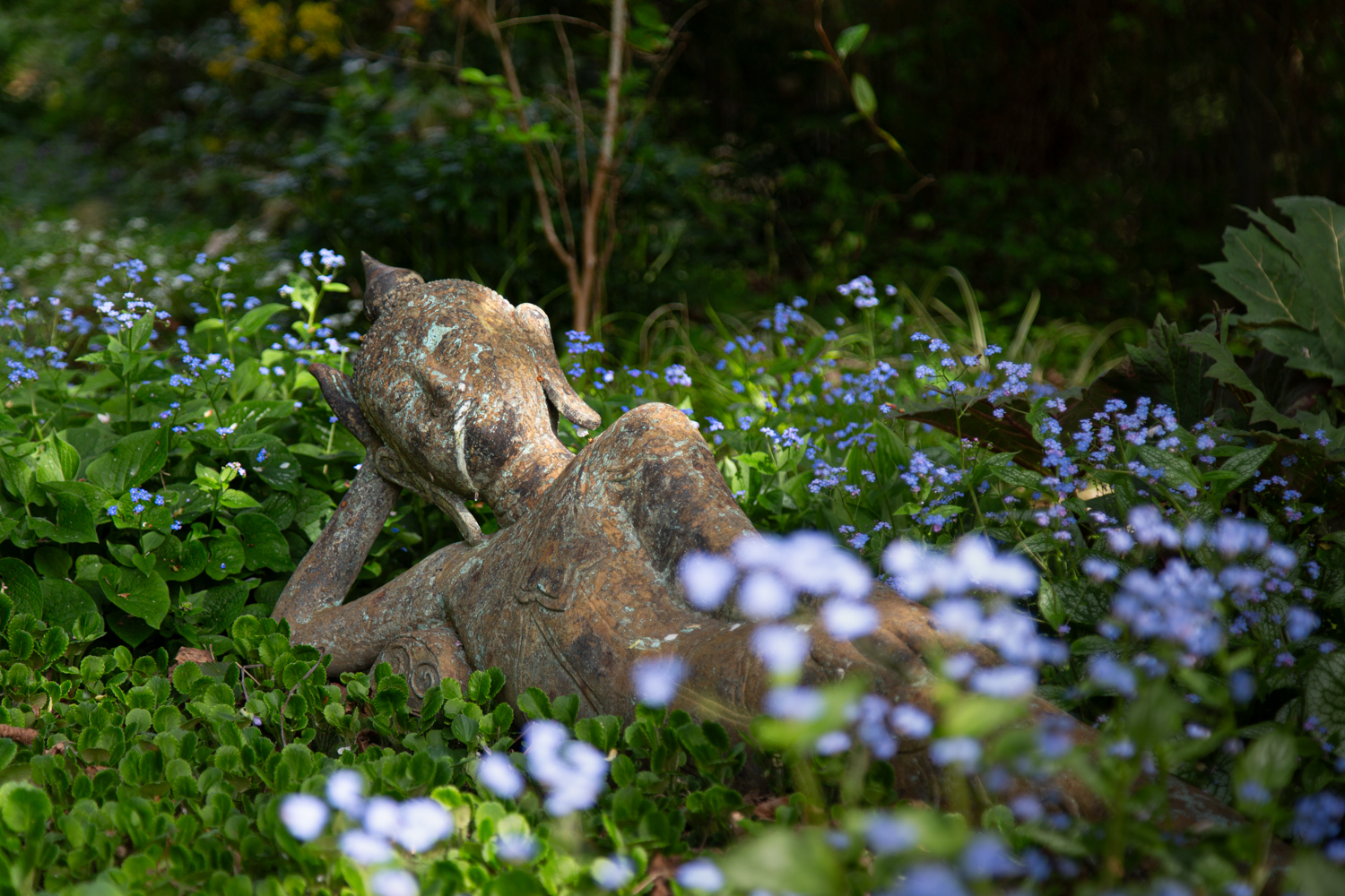 Naturgestalt zwischen blauen Blüten in einem Garten, fotografiert von Barbara Rainer