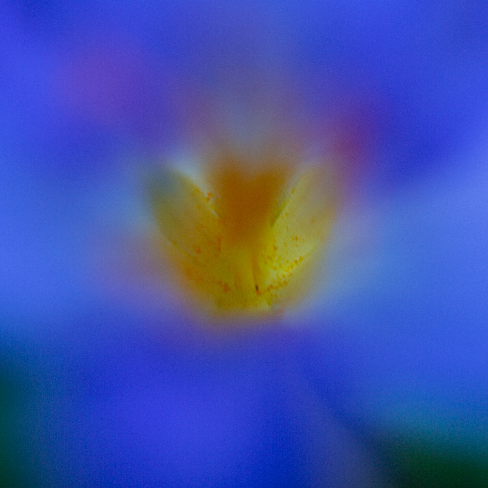 Blauer Nebel